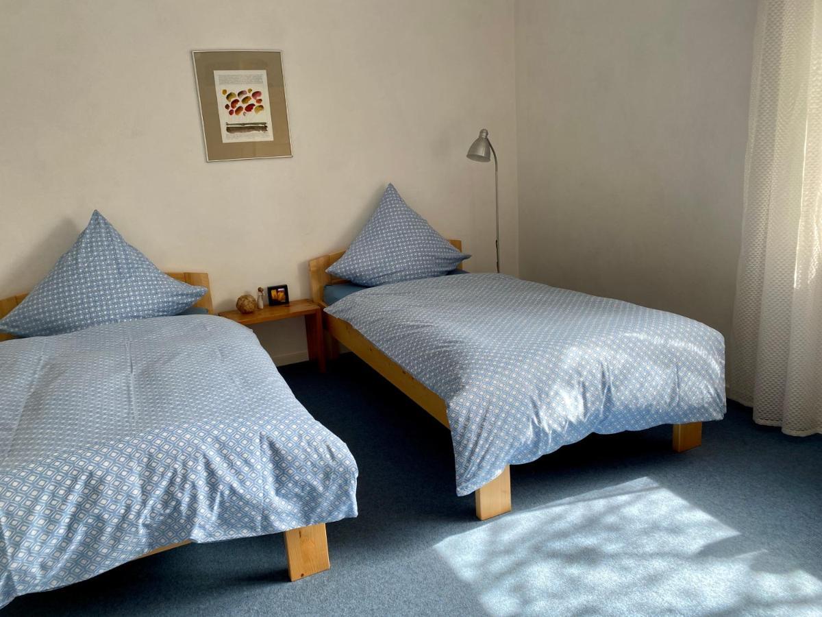 Moselglueck Apartment Schweich Ngoại thất bức ảnh